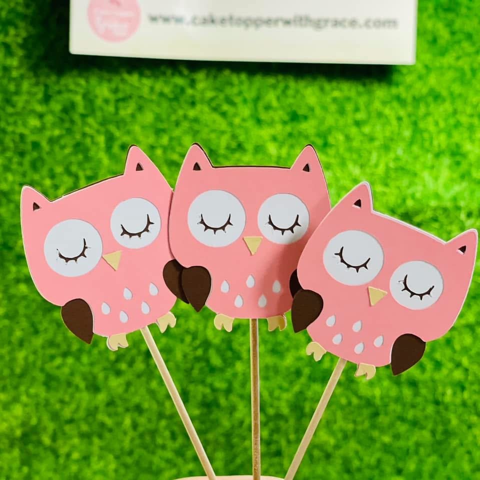 Whimsical Owl Cupcake Toppers 6 pcs